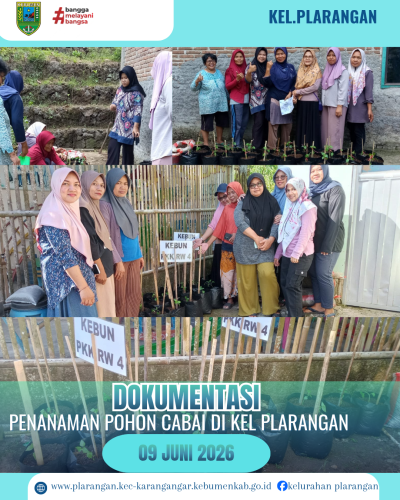 Penanaman Pohon Cabai Di Kelurahan Plarangan 