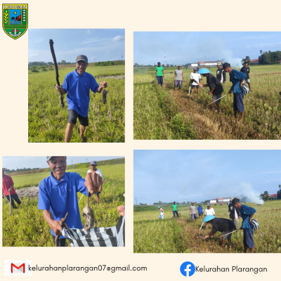 Grobyokan Tikus Hari Minggu 12 Oktober 2025