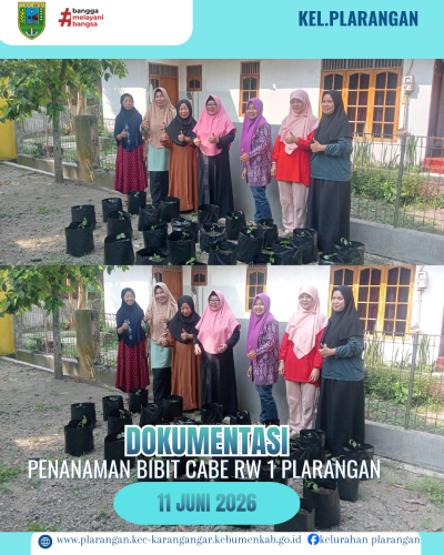 Penanaman bibit cabe di RW 01 Kelurahan Plarangan 