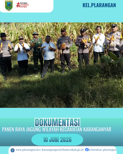 Panen Raya Jagung Sekecamatan Karanganyar 