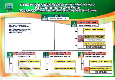 STRUKTUR ORGANISASI KELURAHAN PLARANGAN